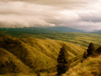 Rolling hills landscape